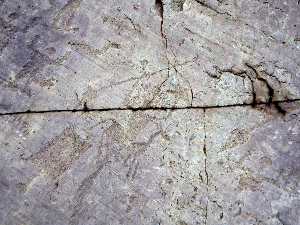 P1030827
