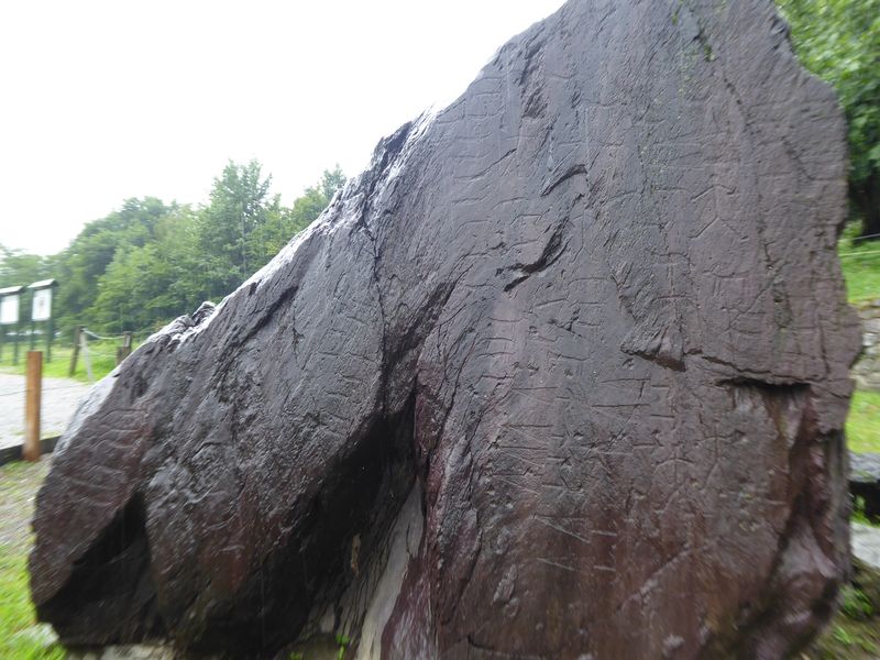 P1030895