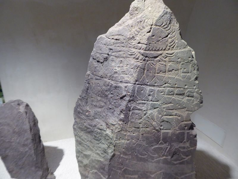 P1030910
