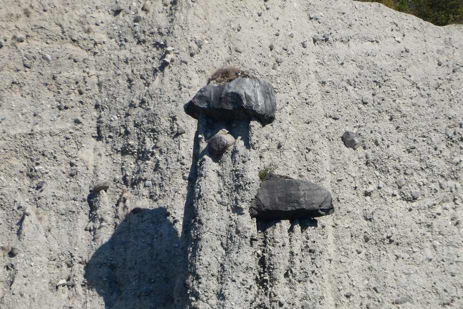 P1050851