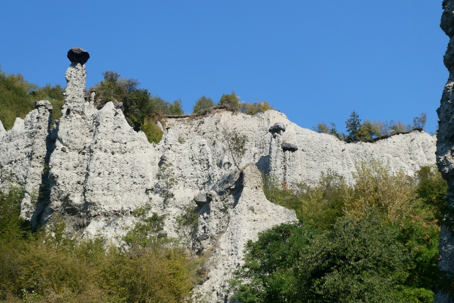P1050855