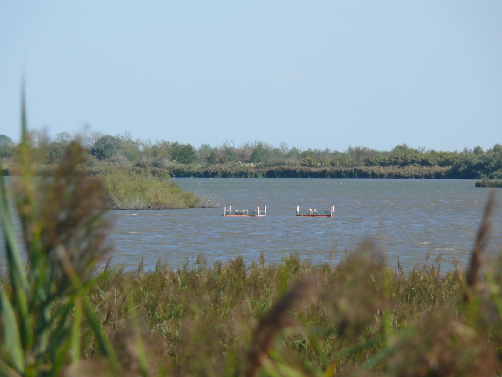 P1190461 