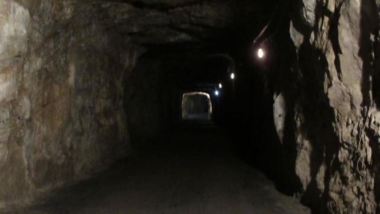 IMG_1663.jpg