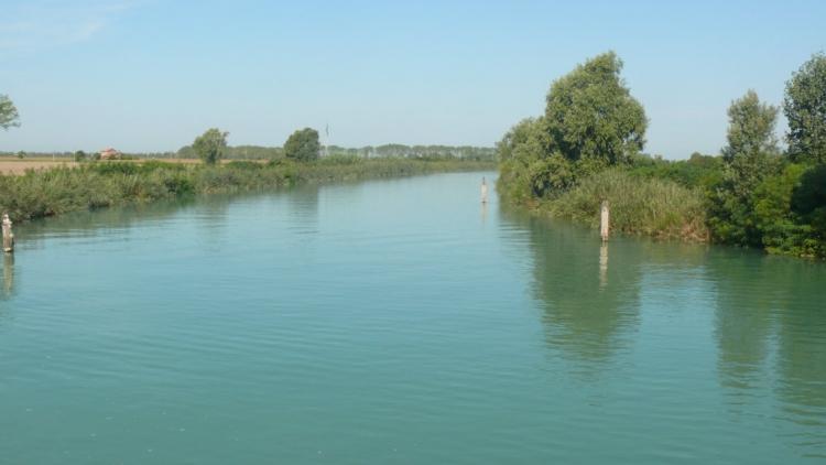 P016.jpg