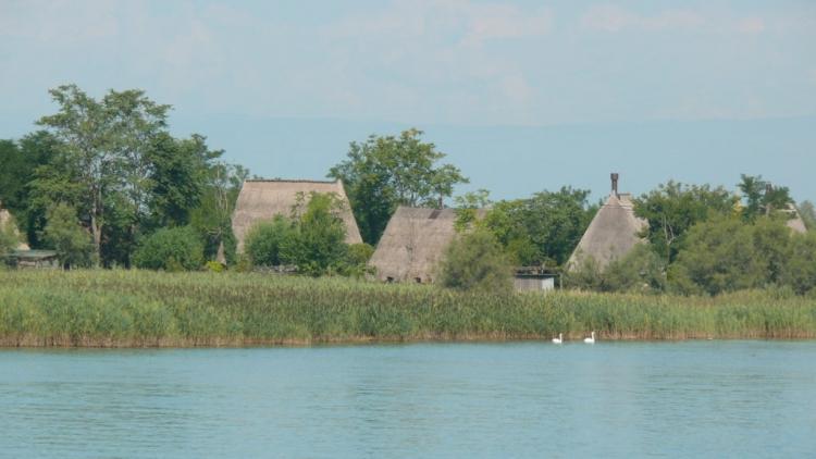 P061.jpg