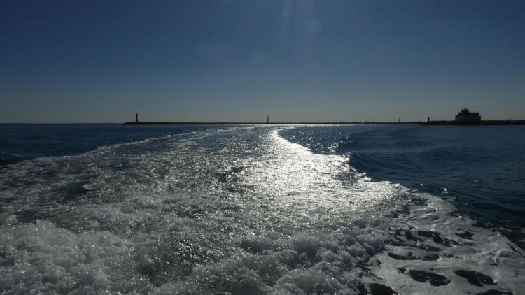 P1010866.JPG