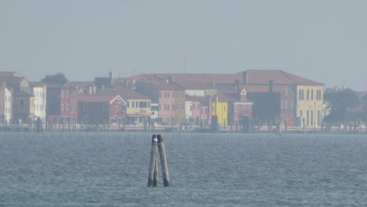 P1030164.JPG