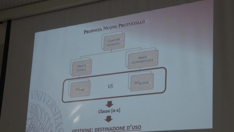 P1070176.jpg