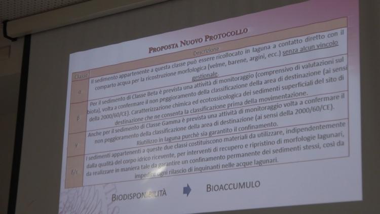 P1070177.jpg