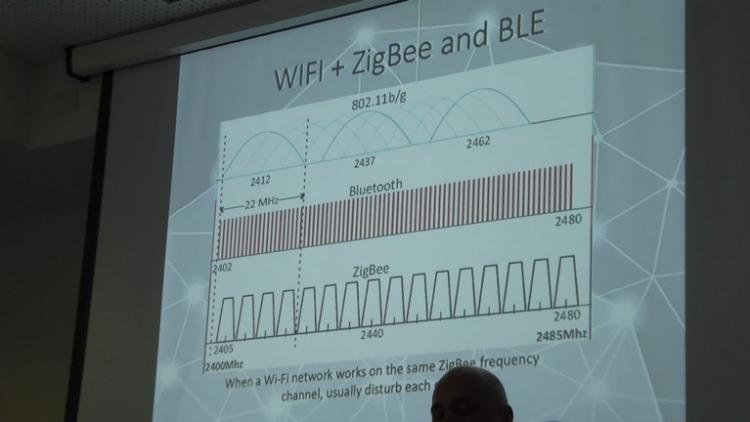P1100199.jpg